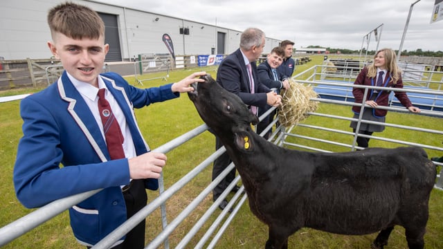 13 teenagers take calves home to rear in ABP’s agri-skills contest