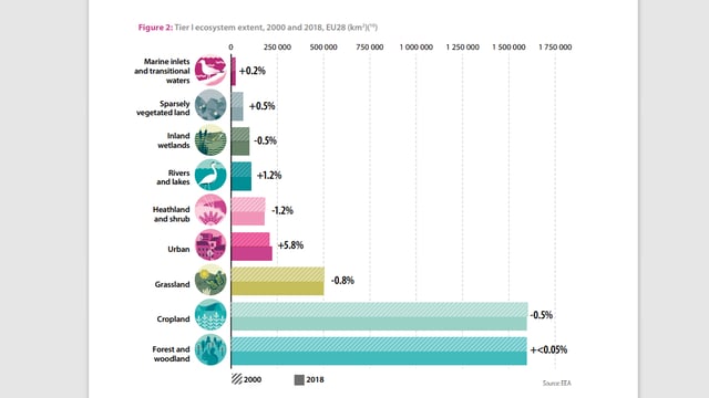 New report highlights economic importance of our ecosystems