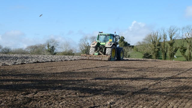 New video series to highlight use of EIP multi-species swards