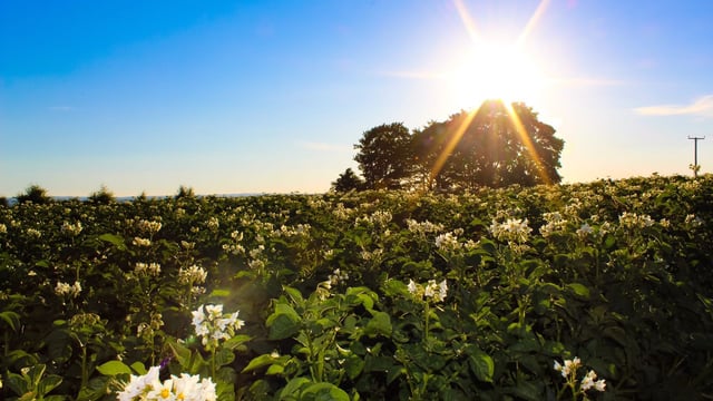 Farmers invited to have say on ABCB Agriculture Strategy