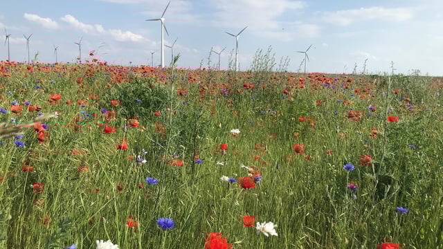 Bayer launches decarbonisation programme for agriculture in Europe