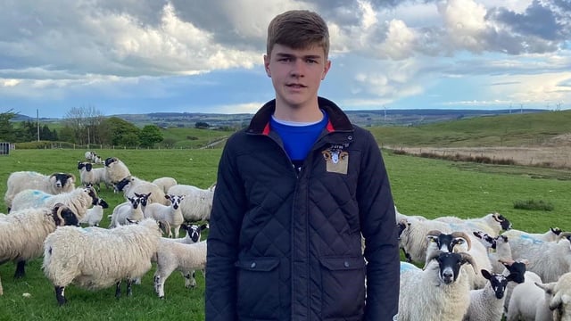 Ulster Wool announces winner of new development programme