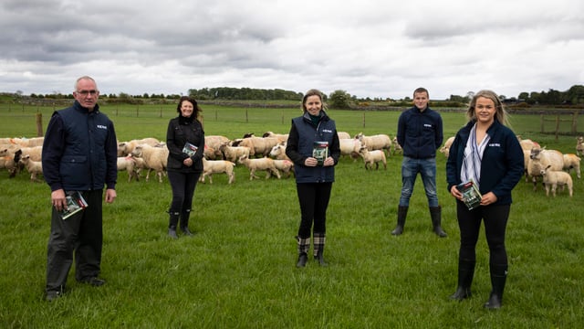 Kepak and Supervalu develop 'Lamb Producer Guidelines'
