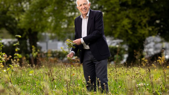 The business case for biodiversity on World Environment Day