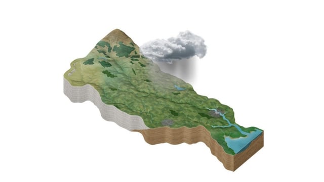 EPA report finds 85% nitrogen leakage to rural catchments caused by agriculture