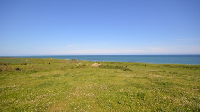 Rosslare farm benefits from 'spectacular' coastal location