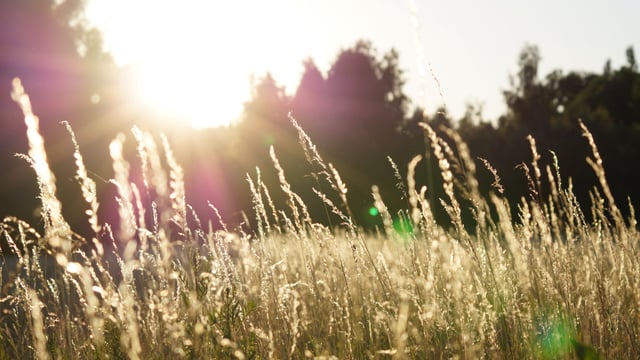 Met Éireann: High pressure to bring calm conditions