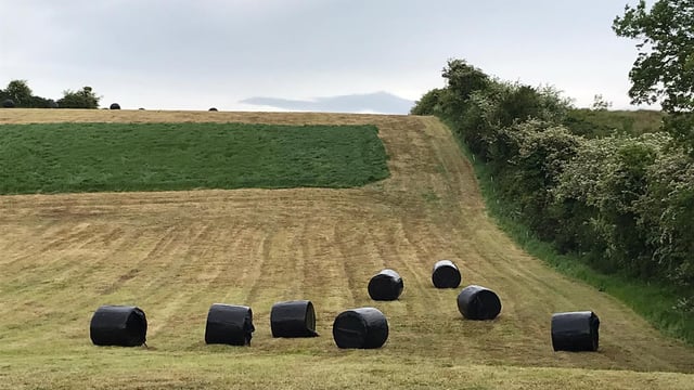 Biomethane strategy to be published within 'weeks' - minister