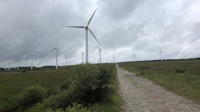 Government opposes bill to 'save' Galway wind farm