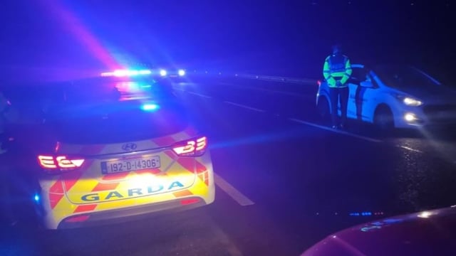 Gardaí investigate 2 collisions involving horses in Donegal