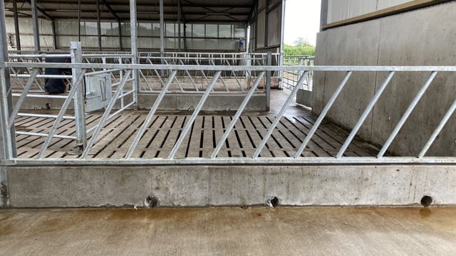Concrete prices jump 25% in 12 months to Sept - CSO
