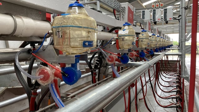 NI milk price round-up: Lakeland swaps unconditional bonus for base price rise