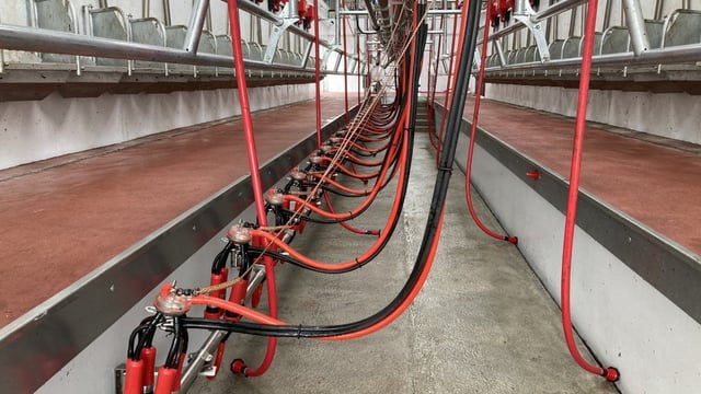 Dairy advice: Milking machine and bulk tank service