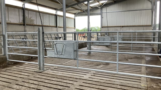 Over 40% of TAMS tranche 5 applications approved