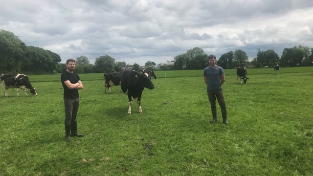 Dairy Focus: Less cows, less milk, more profit in Co. Louth
