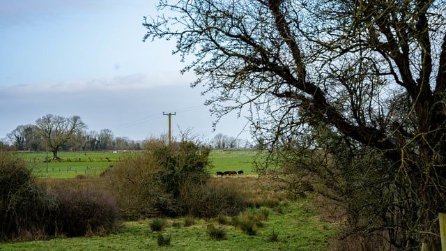 EU delays publication of nature restoration targets and pesticide rules