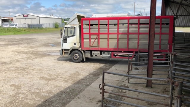 Figures show a further tightening of NI lambs coming south for direct slaughter