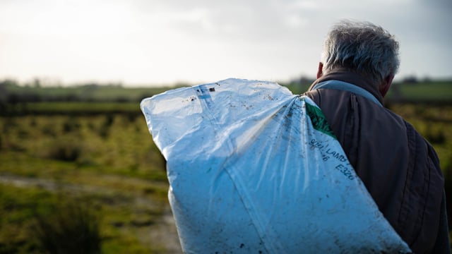MEP claims older farmers will be 'forced out' of sector by new CAP