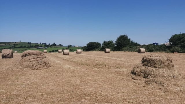 Vandals rip netting and damage hay bales in Cork