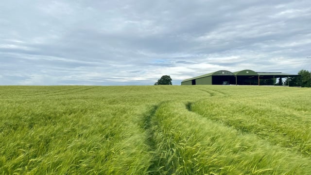 Athy land 'would make ideal out-farm'