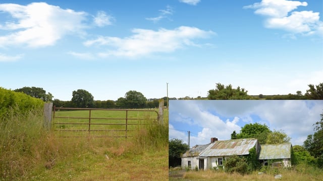 Ferns roadside holding with derelict farmhouse for auction