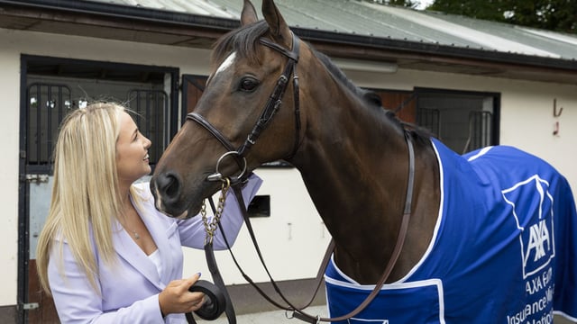 Freewheelin Dylan seeks to defend €75,000 Kilbeggan crown