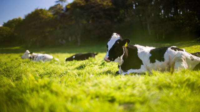 Need for 30% emissions cut is 'blindingly obvious' says TD