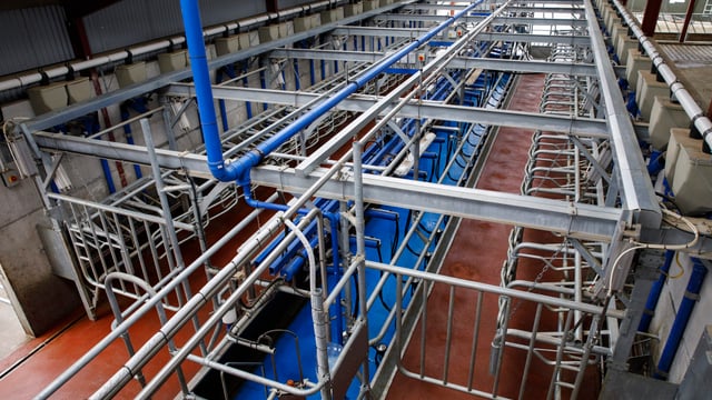 DeLaval unveils new sequential bailing milking parlour