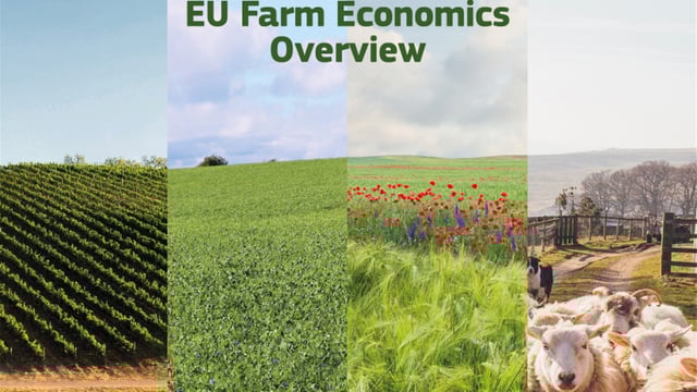 EU farm incomes increase over course of a decade
