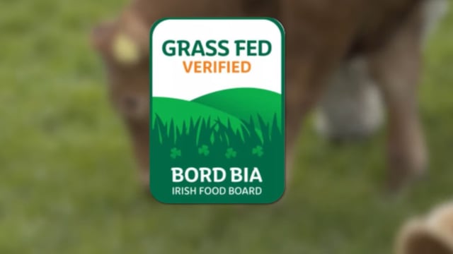 Bord Bia outlines criteria for new grass fed beef scheme