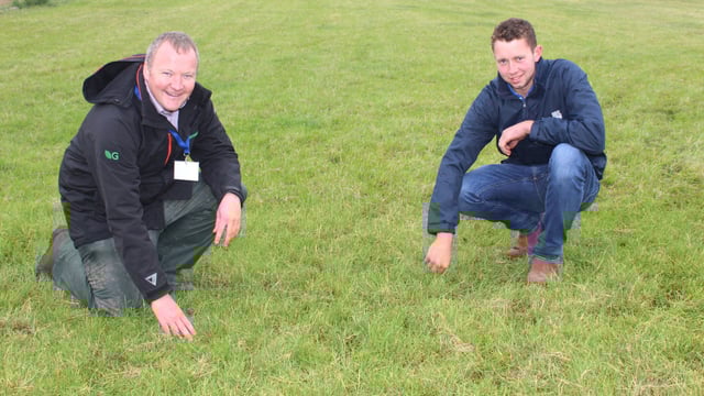 Sales of clover seed rocket as farmers aim to reduce fertiliser bills