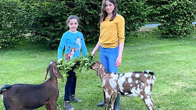 What's planned for 2021 Virtual Farm Weekend?