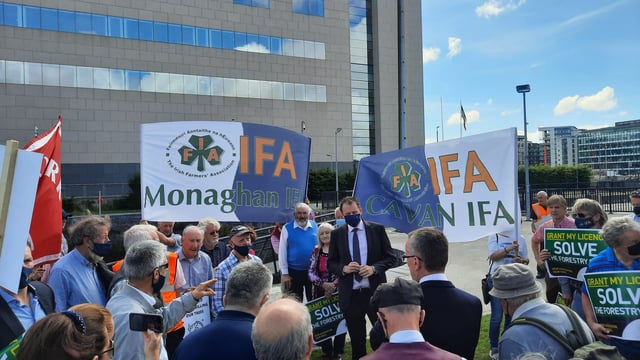 Ministers: 'We are addressing forestry issues robustly'
