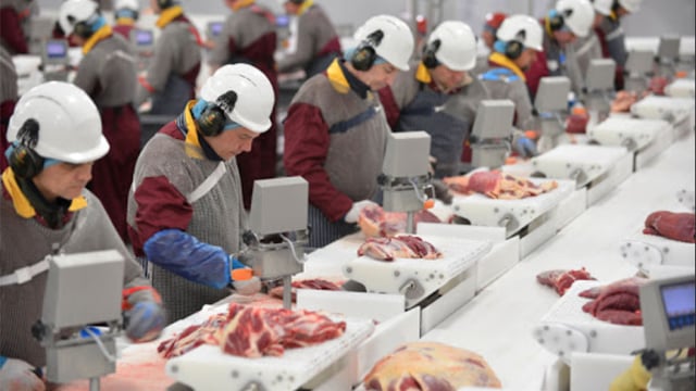 Linden Foods profits up 17% over 2020