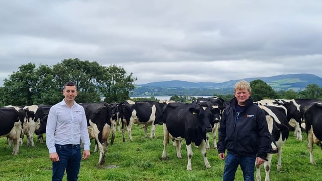 Munster Bovine milk records 500,000 cows in 2021 so far