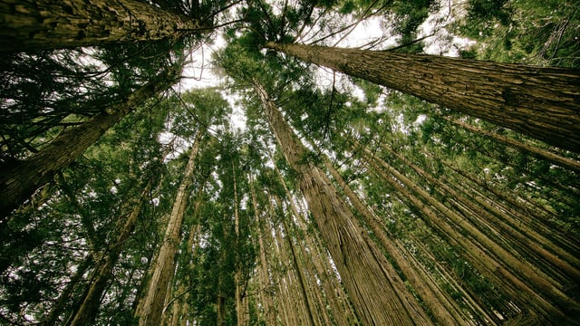 Progress this week on climate legislation at national and EU level