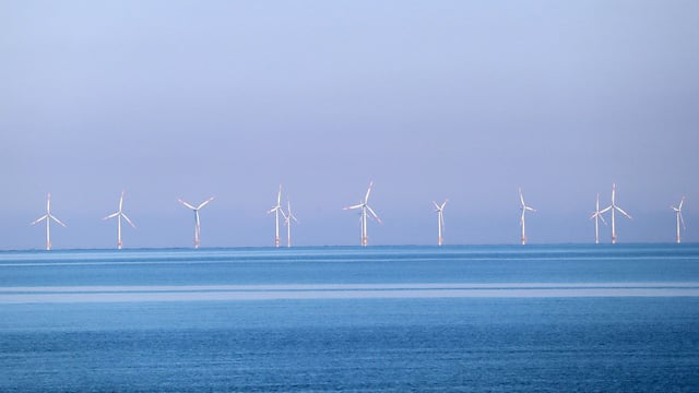 'Timely progression' of offshore wind projects 'essential' for climate targets