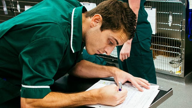 Overseas vets and vet nurses encouraged to take part in ‘introduction to the UK’ training course