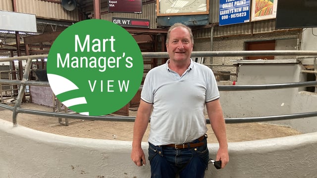 100% clearance of lambs at Loughrea with agents 'anxious for lambs'
