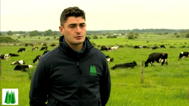 'Not incorporating clover originally was a mistake'