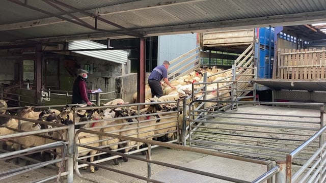 Opinion: 'Imminent' takeover of Kildare Chilling comes at tough time