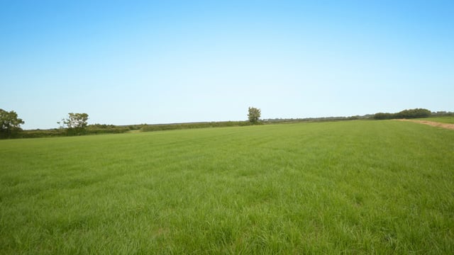 Gorey land sale includes derelict cottages
