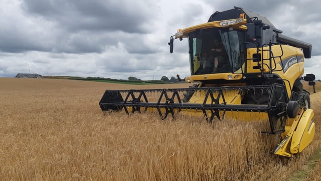 Malting barley – Donegal’s best kept secret