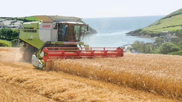 Pics: Harvest season motors on with top cutting conditions