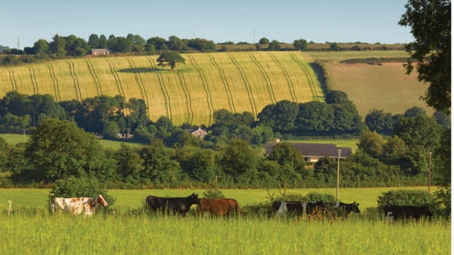 REAP: €10m to be issued to 3,000 farmers
