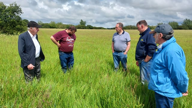 OPW urged to drop water levels on River Shannon to save crops