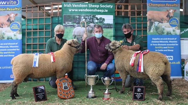 Offaly farmer's ram tops the Vendéen premier sale at €1,600