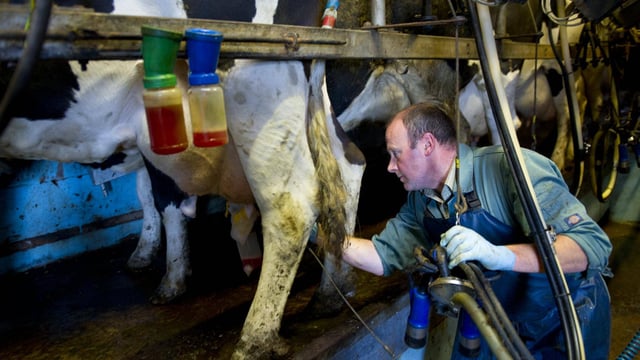 New collaboration to establish low carbon milk