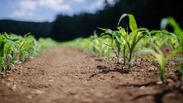 Hundreds of farmers to attend WFO annual meeting