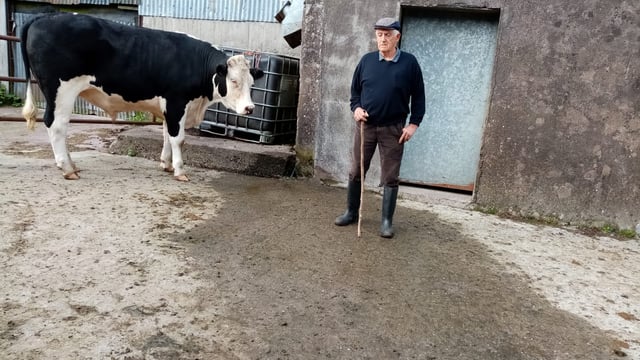 'Excellent' cancer care prompts farmer to donate bullock for support services